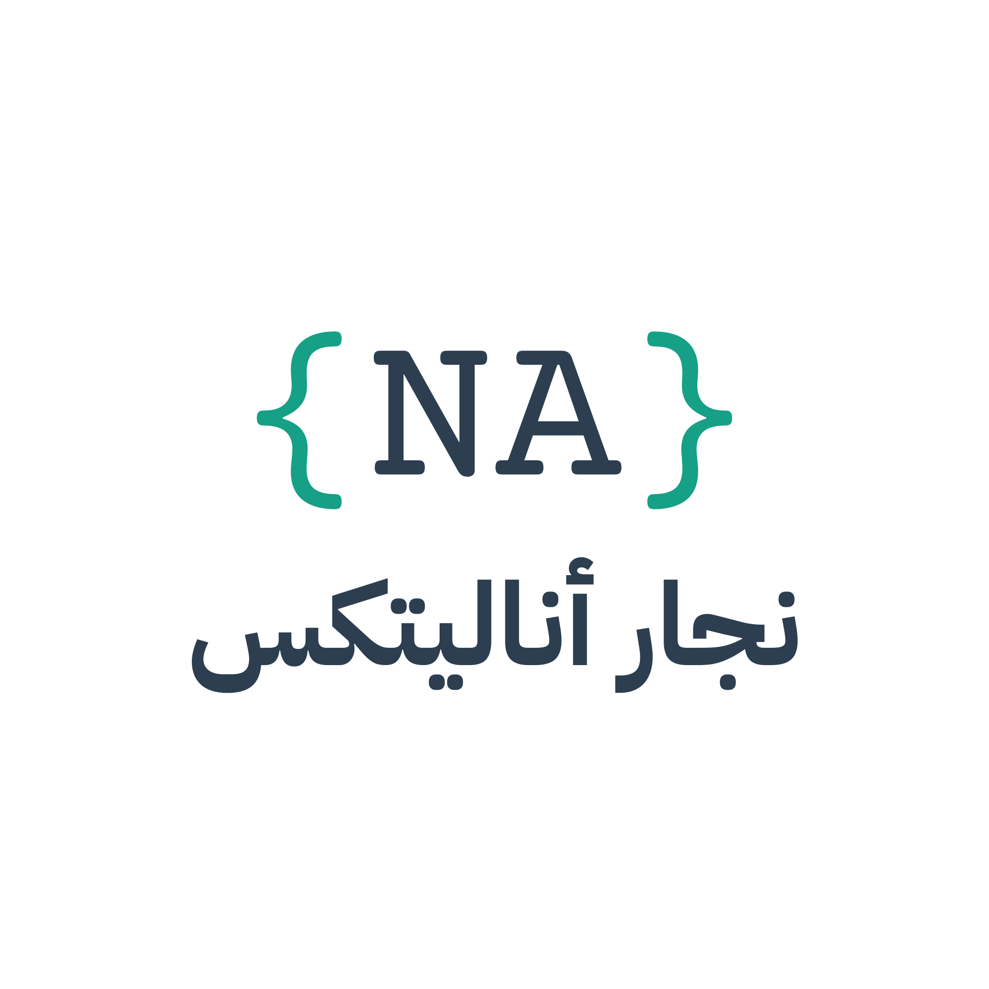 Naggar Analytics Logo